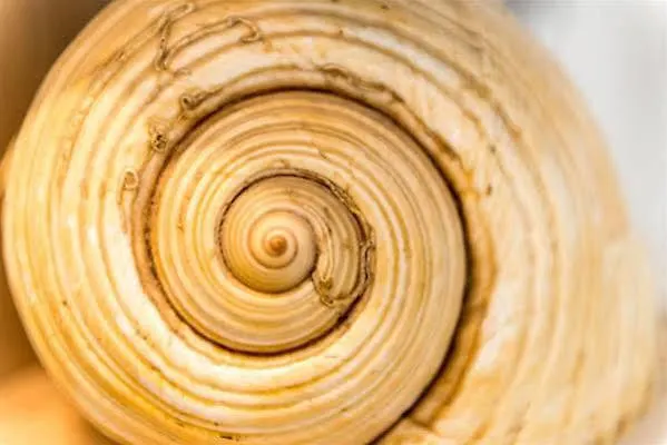 Neve Lejlighed Dubrovnik