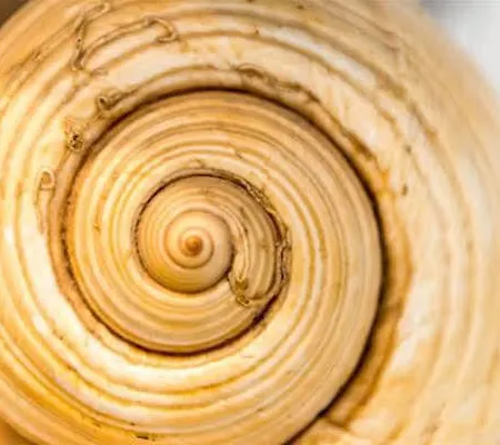 アパルトマン ネヴェ アパート ドゥブロブニク